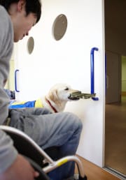 扉を開ける介助犬