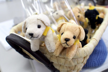 介助犬チャーム