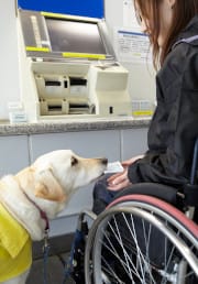 落としたものを拾う介助犬